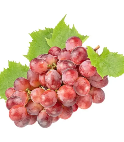 Grapes Red Globe