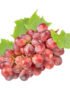 Grapes Red Globe