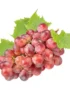 Grapes Red Globe