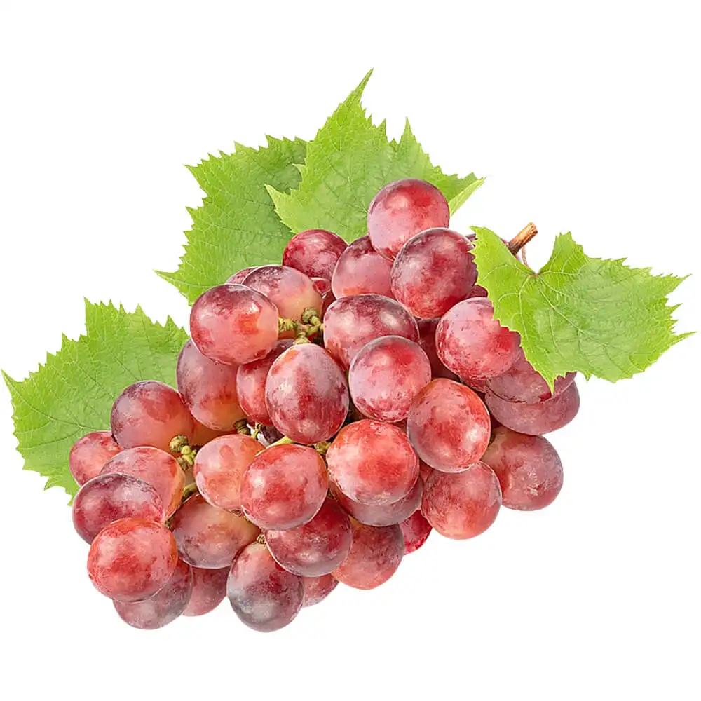 Grapes Red Globe Grapes Red Globe