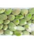 Green Almond