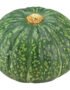 Green Pumpkin Organic