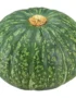 Green Pumpkin Organic