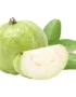 Guava