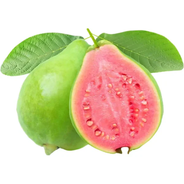 Guava Red Vietnam