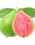 Guava Red Vietnam