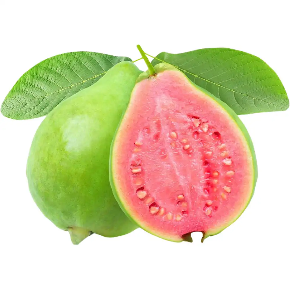 Guava Red Vietnam Guava Red Vietnam
