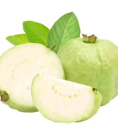 Guava White Thailand Premium