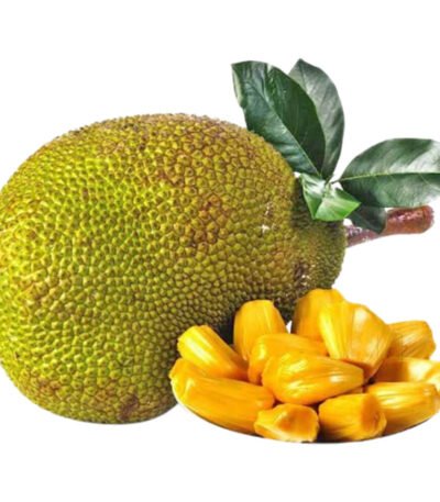 Jackfruit
