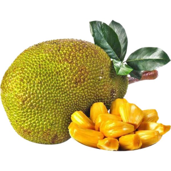 Jackfruit
