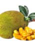 Jackfruit