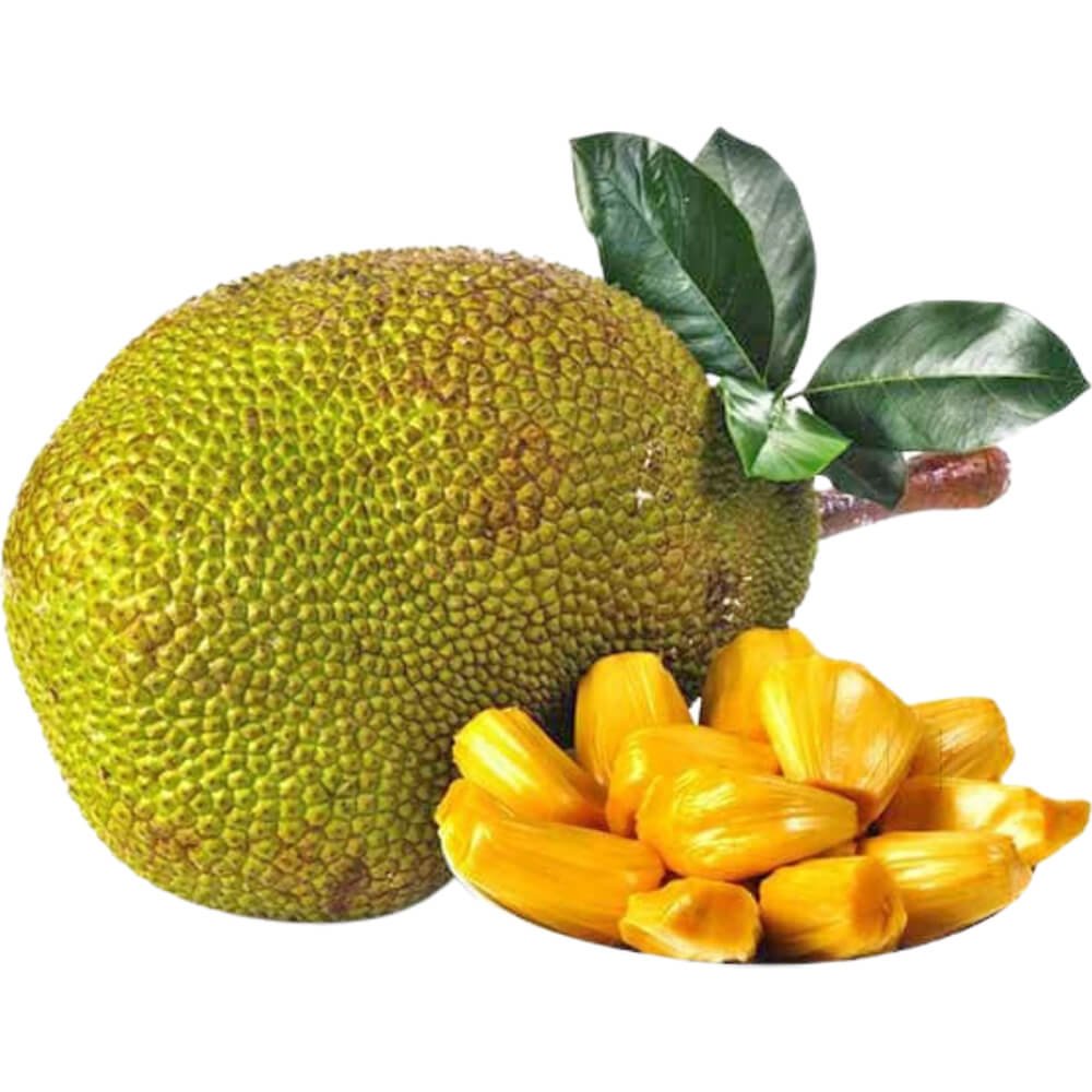 Jackfruit Jackfruit