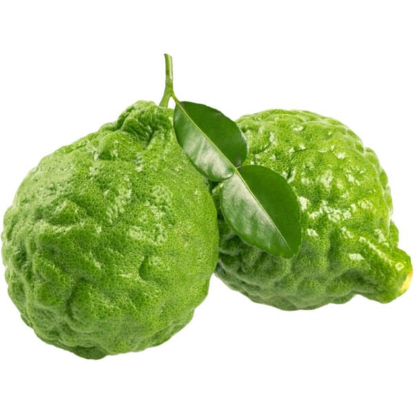 Kaffir Lime