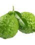 Kaffir Lime
