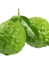 Kaffir Lime