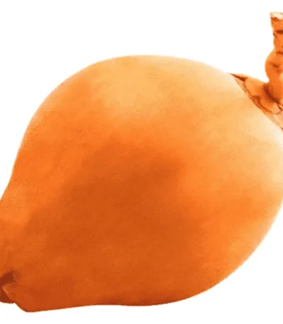 King Coconut