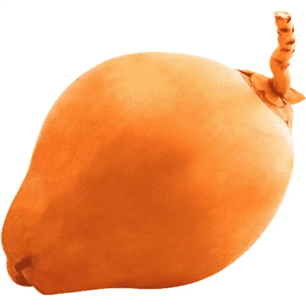 King Coconut King Coconut