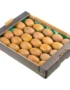 Kiwi Italy Box