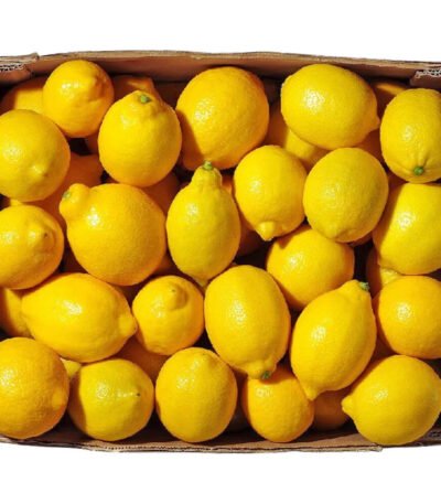 Lemon Box