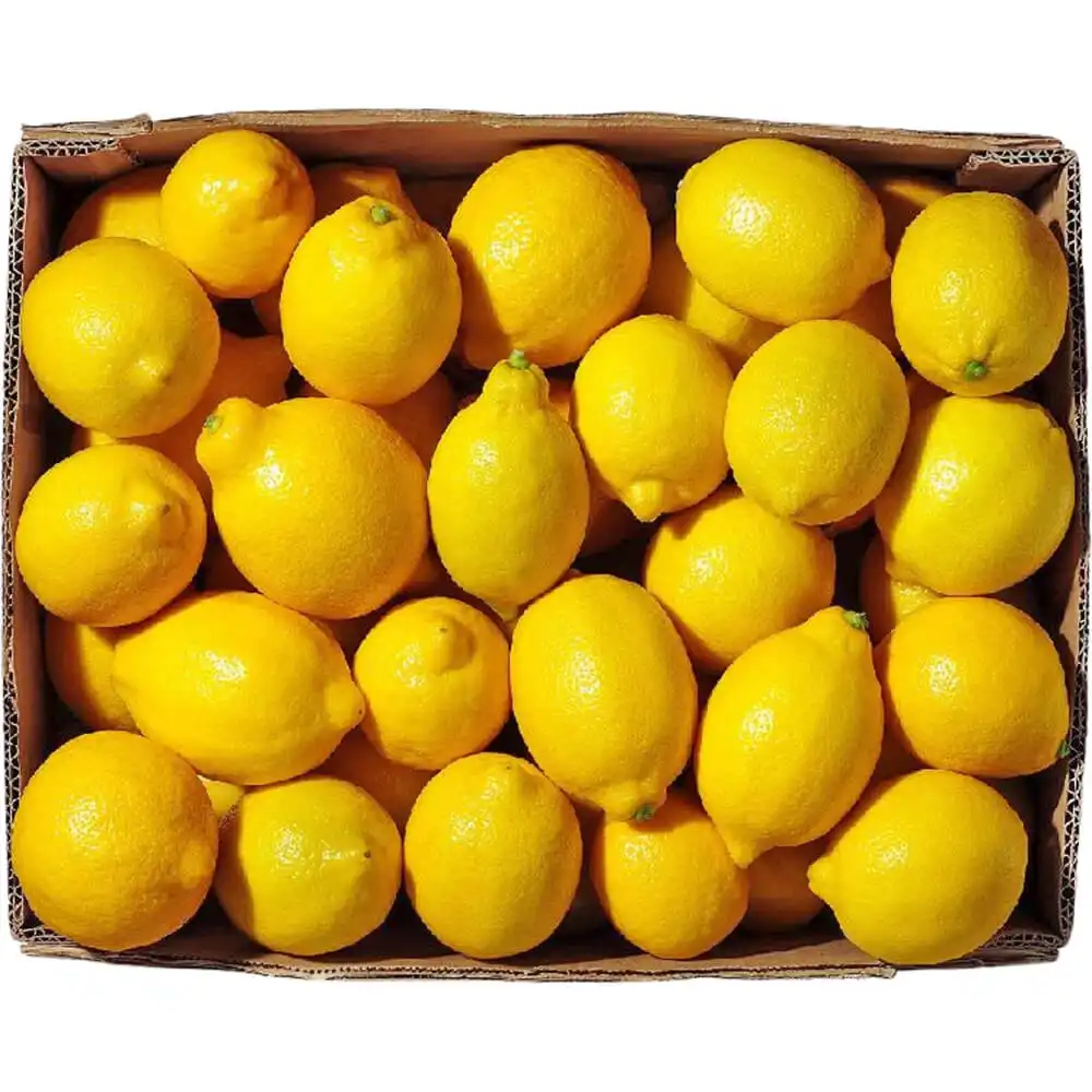 Lemon Box Lemon Box