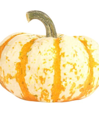 Líl Tiger Pumpkin Halloween