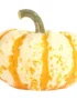 Líl Tiger Pumpkin Halloween