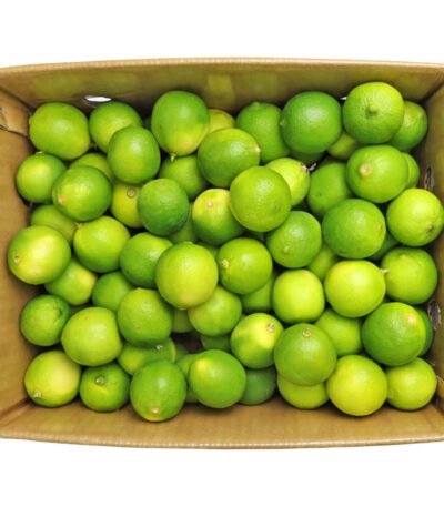Lime Green Box Vietnam