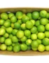 Lime Green Box Vietnam