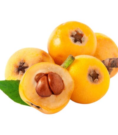 Loquat – Japanese Plum (Lebanon)