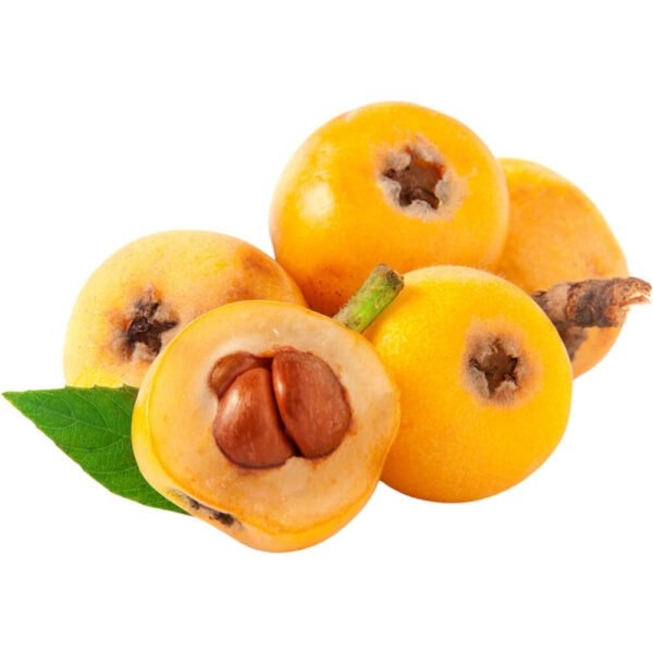 Loquat – Japanese Plum (Lebanon)