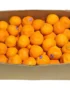 Mandarin Australia Box