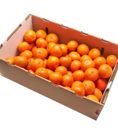 Mandarin Box South Africa