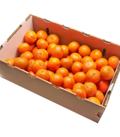 Mandarin Box South Africa