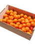 Mandarin Box South Africa