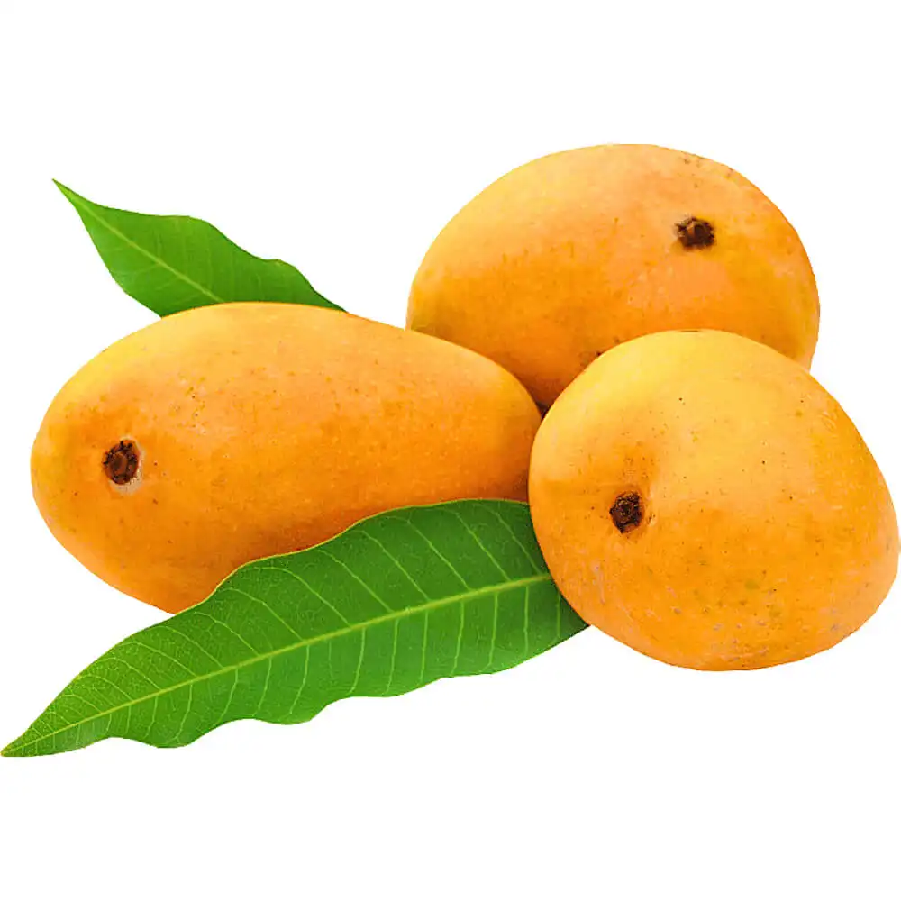 Mango Chaunsa Premium Mango Chaunsa Premium