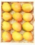 Mango Columbia Box