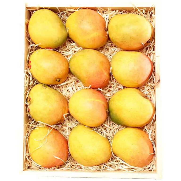 Mango Columbia Box