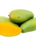 Mango Egypt
