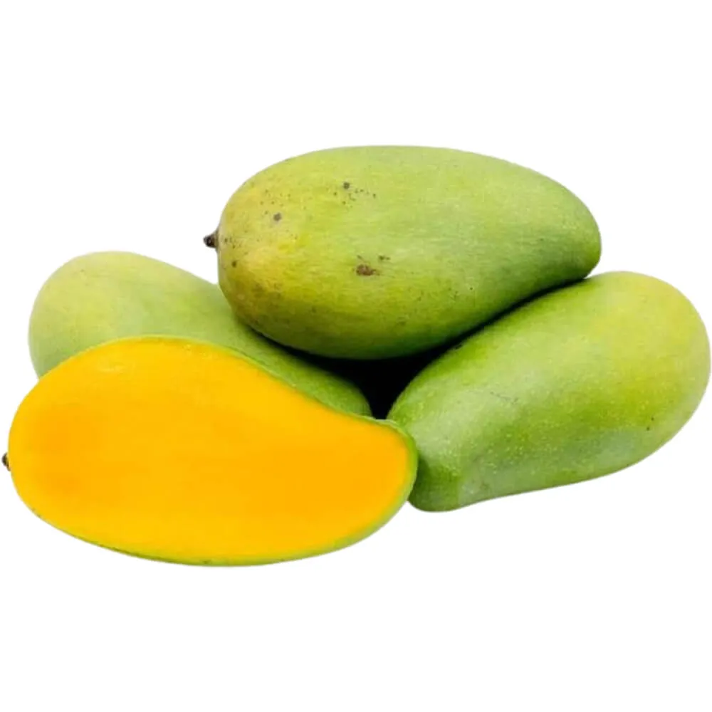 Mango Egypt Mango Egypt