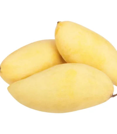Mango Golden