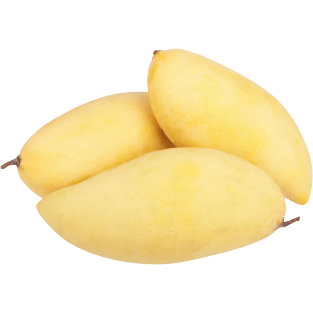 Mango Golden Mango Golden