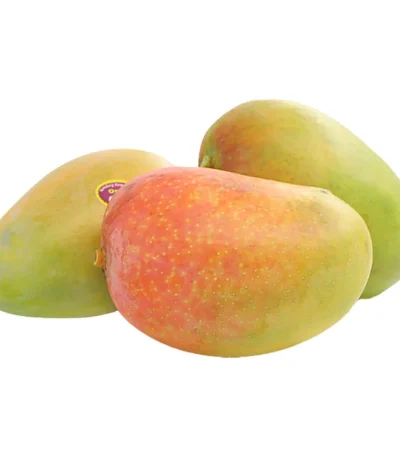 Mango Kesar