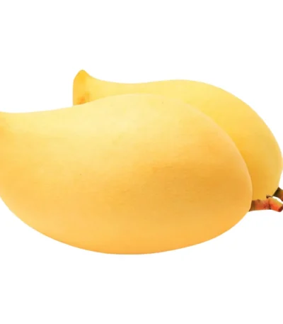 Mango Namdokmai