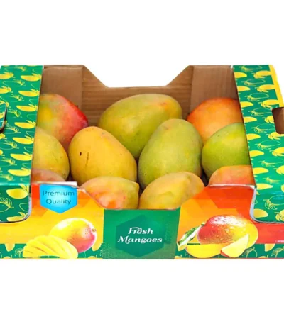 Mango Naomia Box