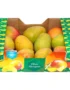 Mango Naomia Box