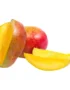 Mango Osteen Spain