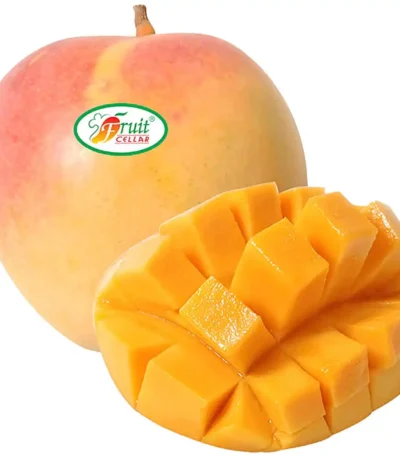Mango R2E2 Vietnam