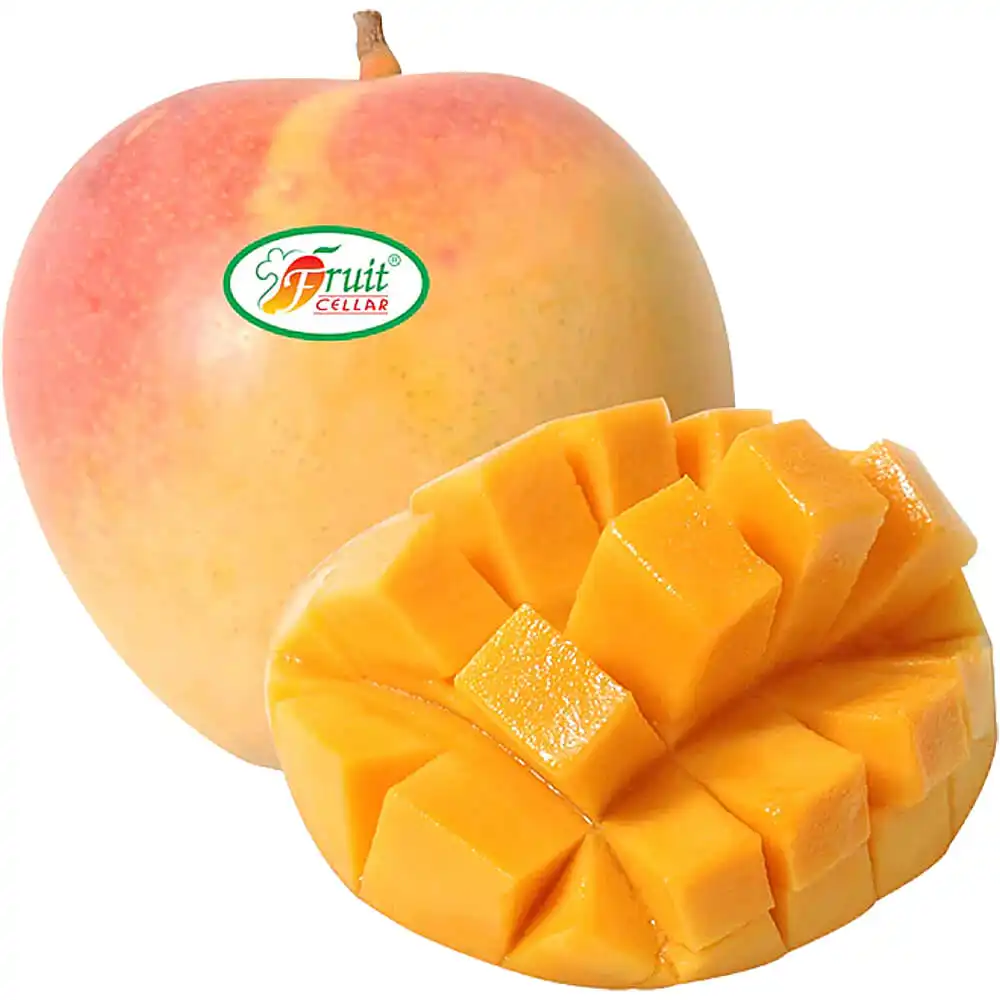 Mango R2E2 Vietnam