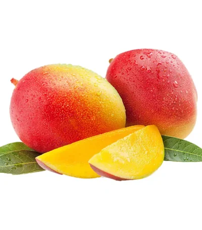 Mango South Africa