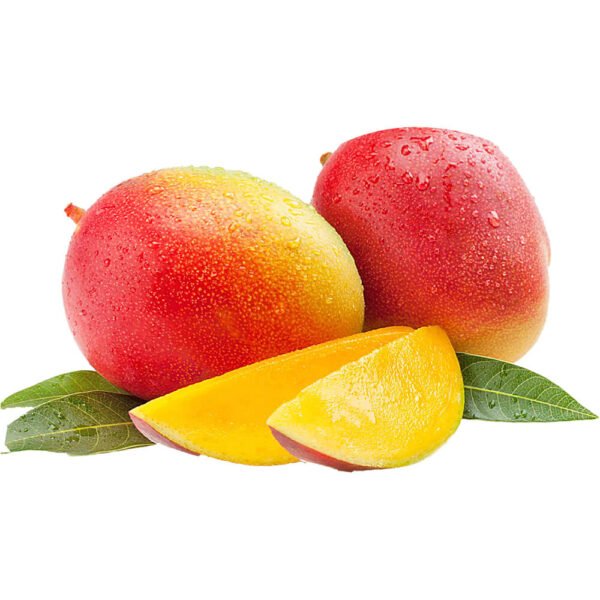 Mango South Africa